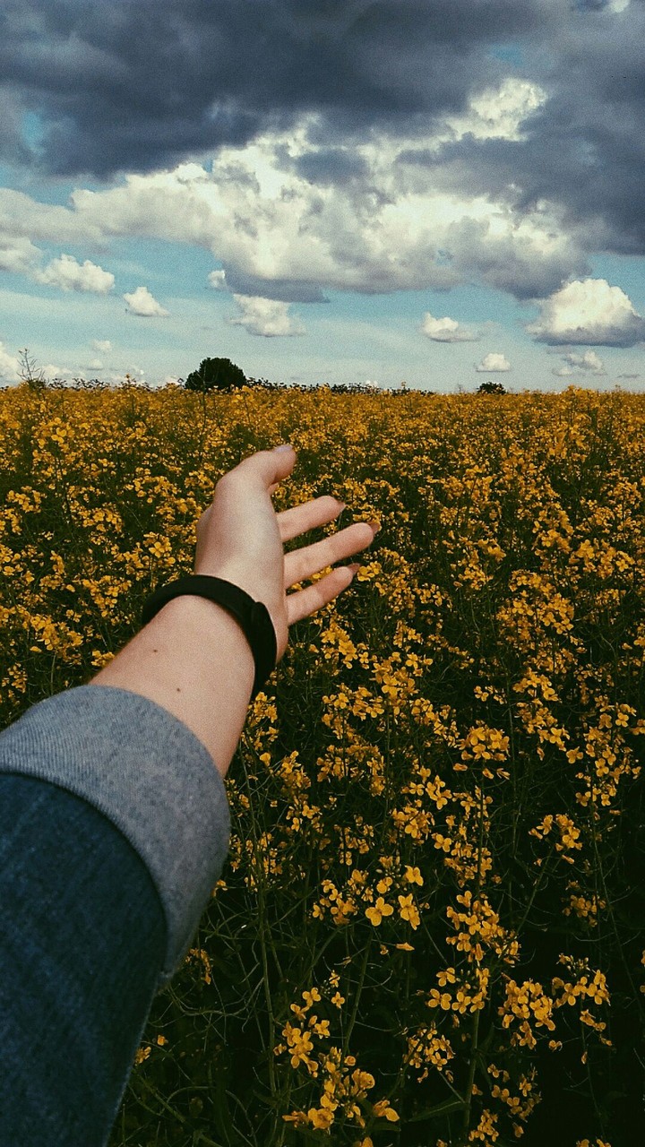 in the distance