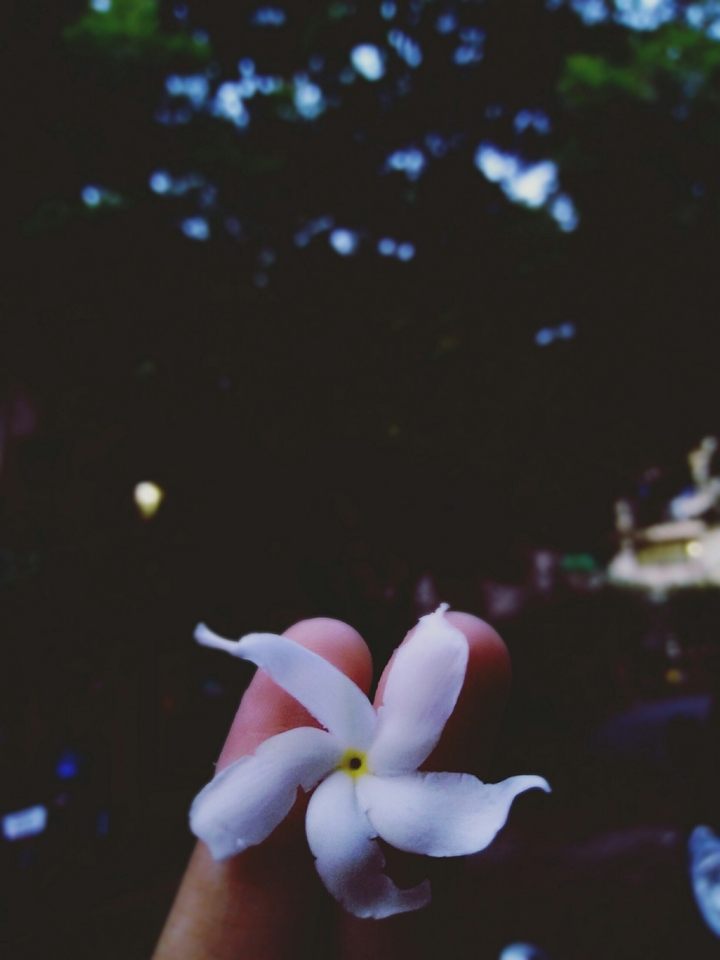 Bliss. 
