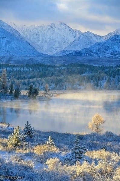 Winter