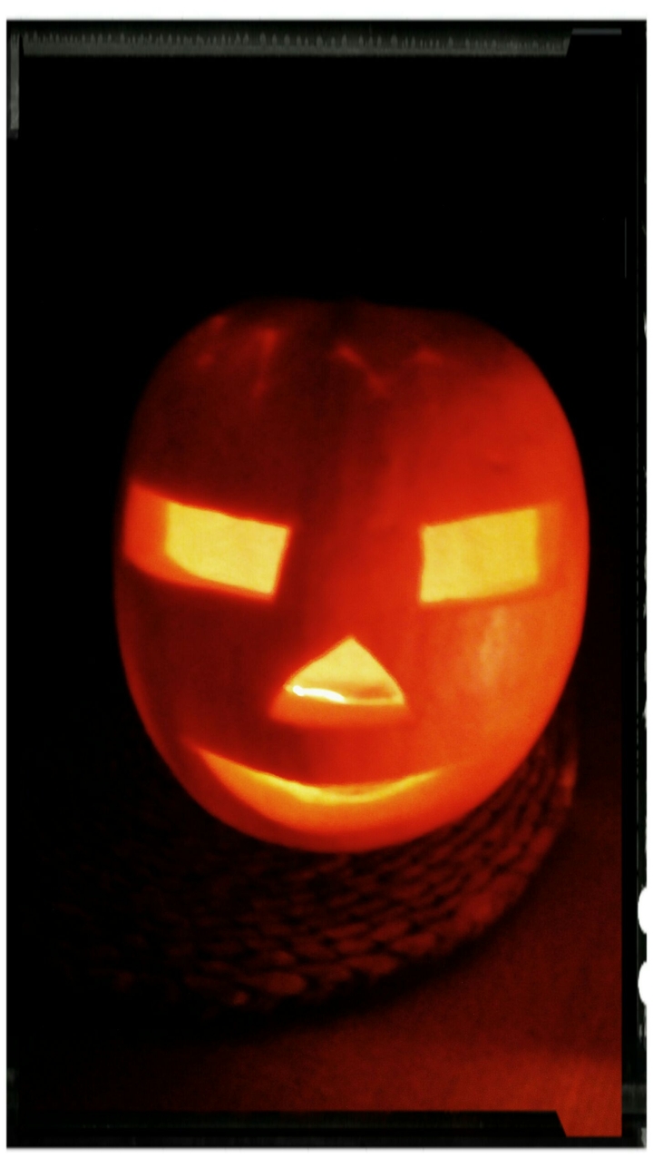 haloowen, pumpkins, evening