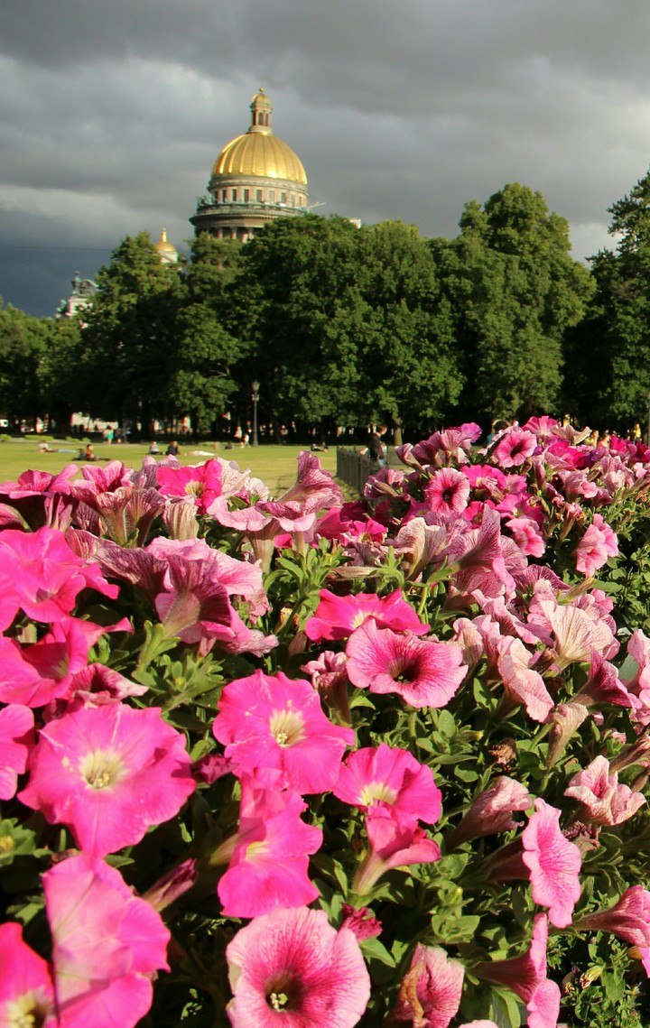 Санкт-Петербург