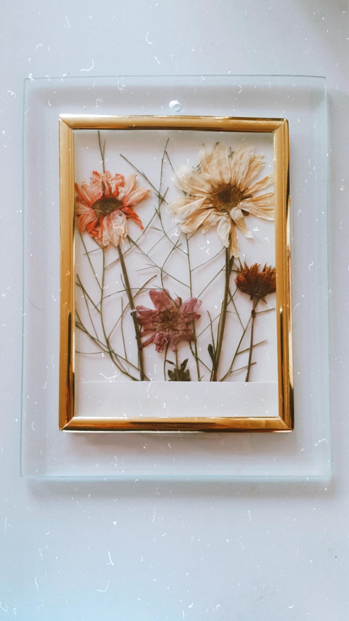 Daisy