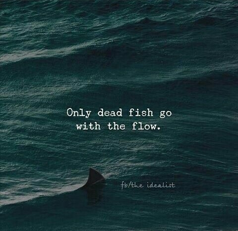 Logic