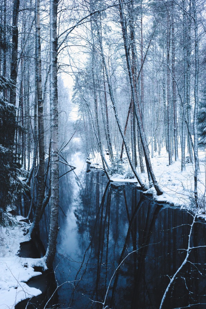 Central Finland-blue hour