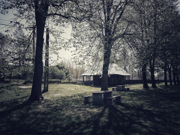Dintr-un lemn monastery,  yard