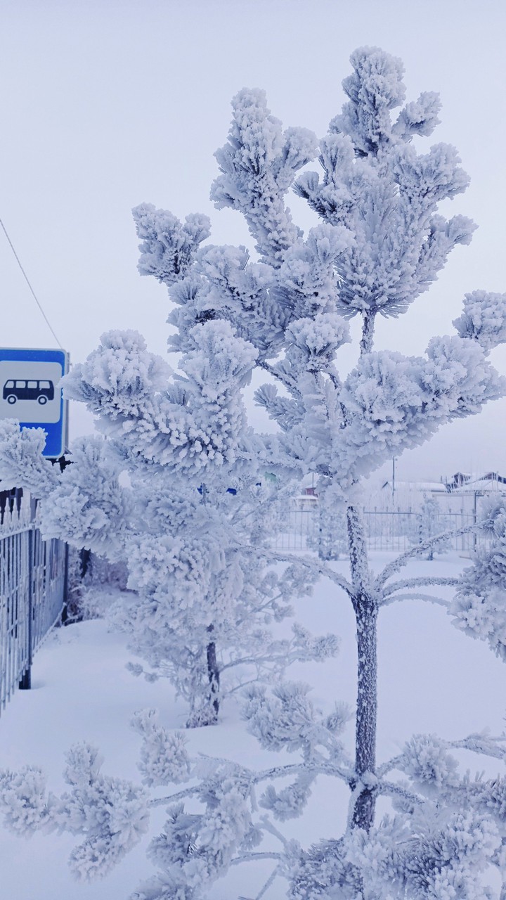 winter