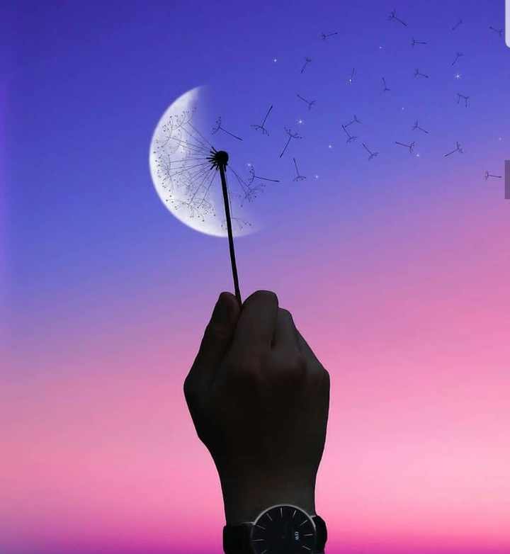 Dandelion