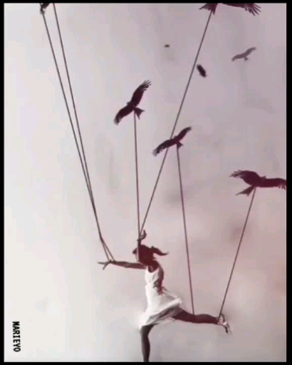 BETWEEN THE BIRD"