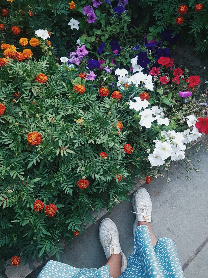 Summer in the Volgograd☺️