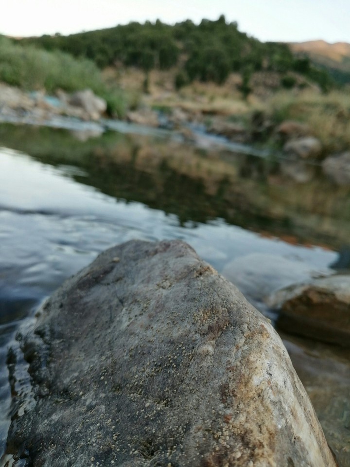 nature