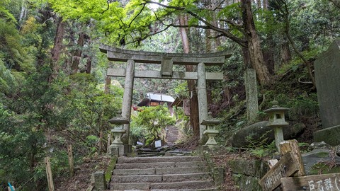 тапети landscape, torii