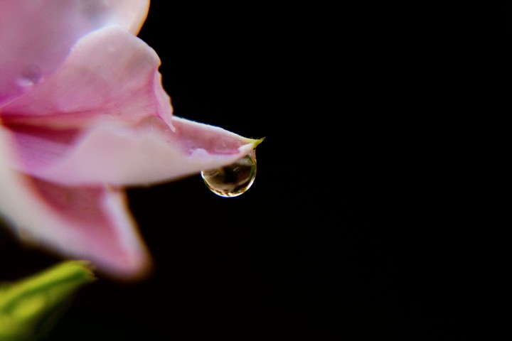 Drop