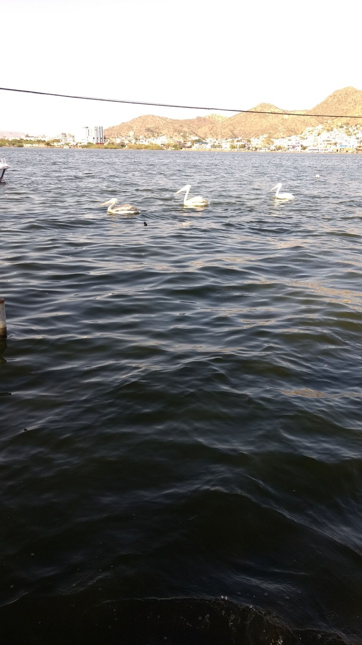 Ana sagar lake