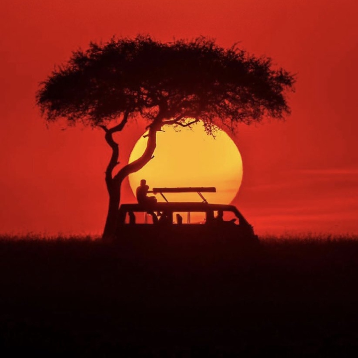 Masai Mara Safari