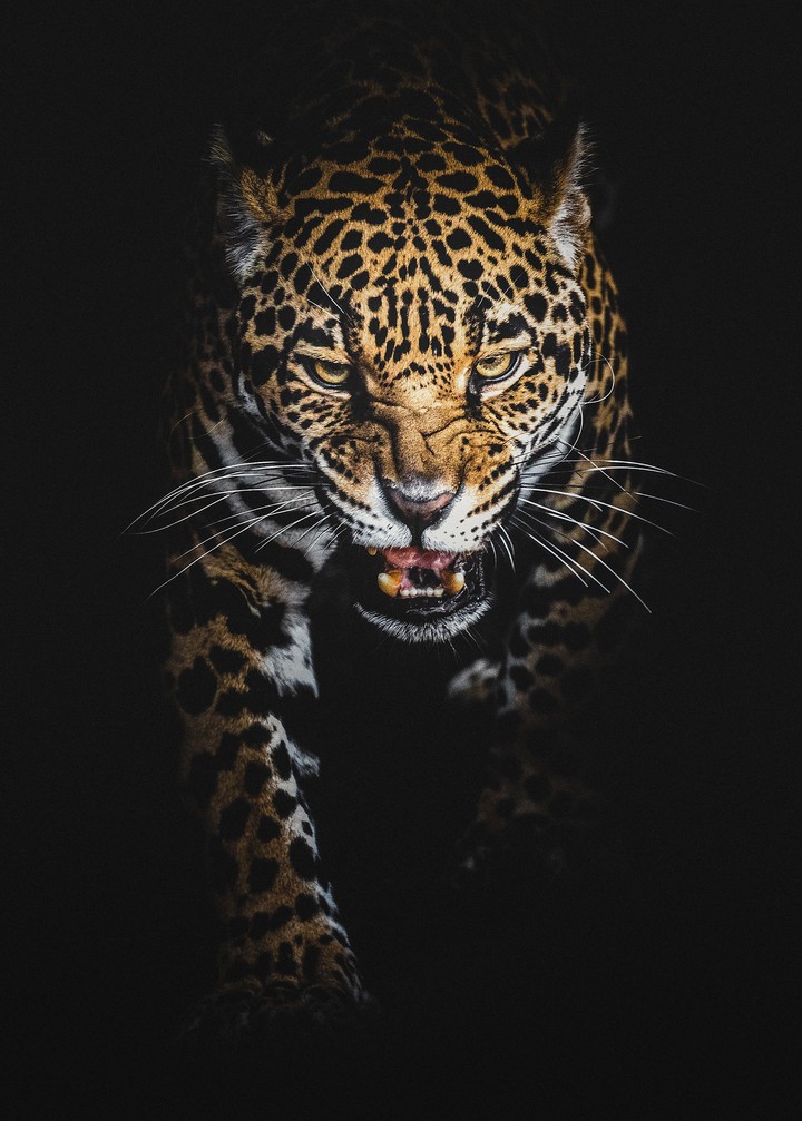 Power