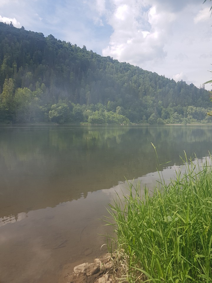 Туманное утро