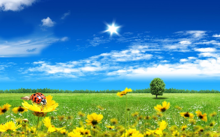 beautiful ?