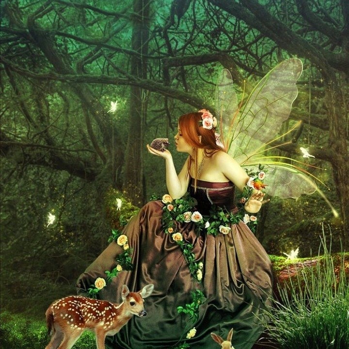 fairies and fay