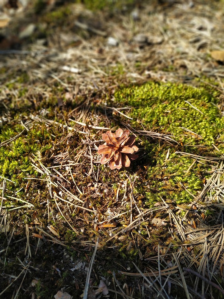 Nature