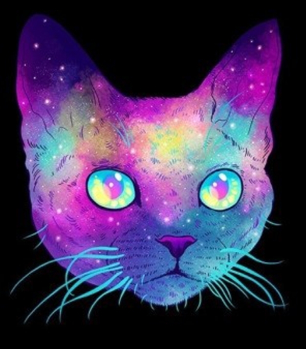 Katze