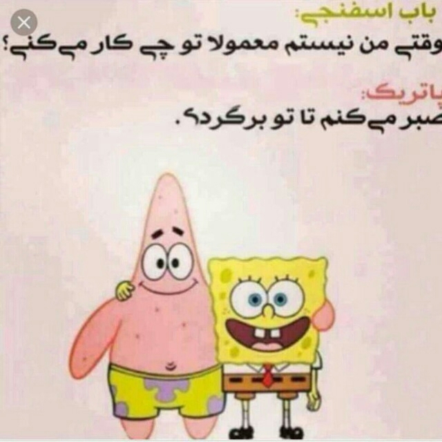 بهترین دوستم عاشقتم