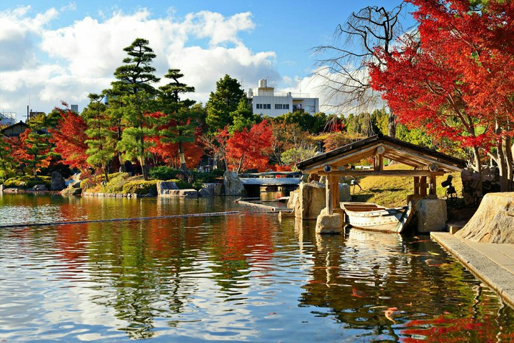 graceful autumn day