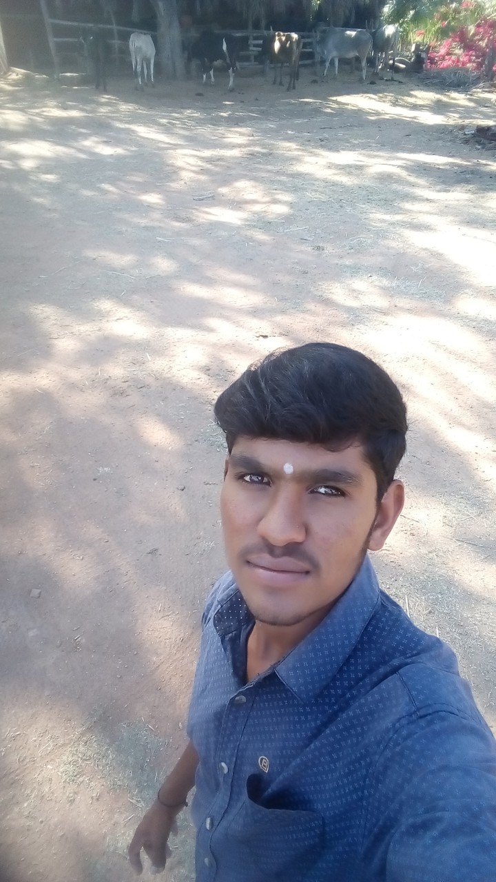 praveena