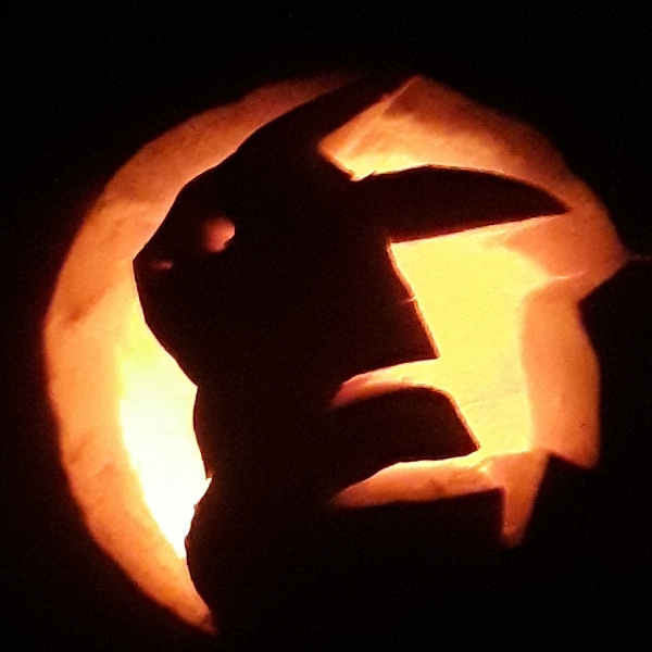 pumpkin pico...thing
