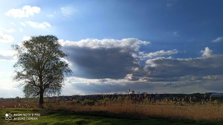 весна