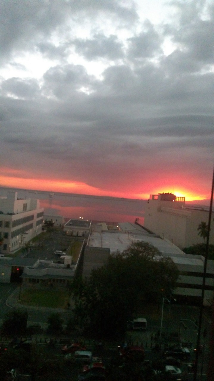 sunset in the city