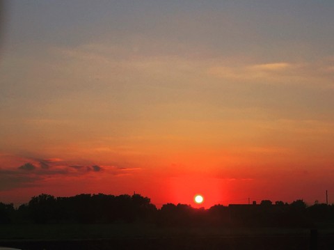 alba