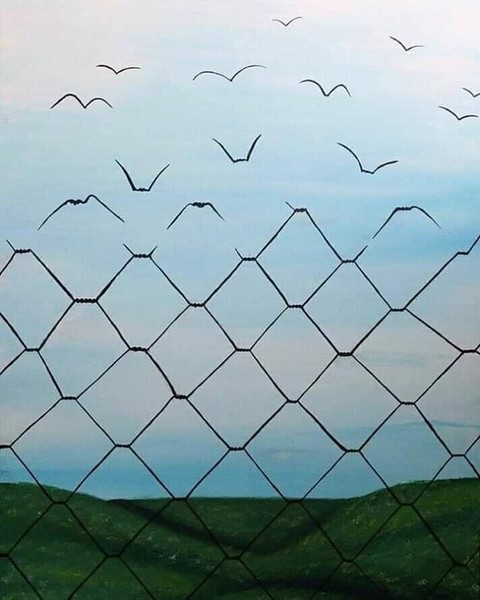 freedom
