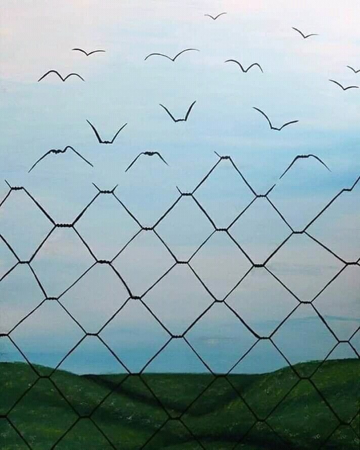 freedom