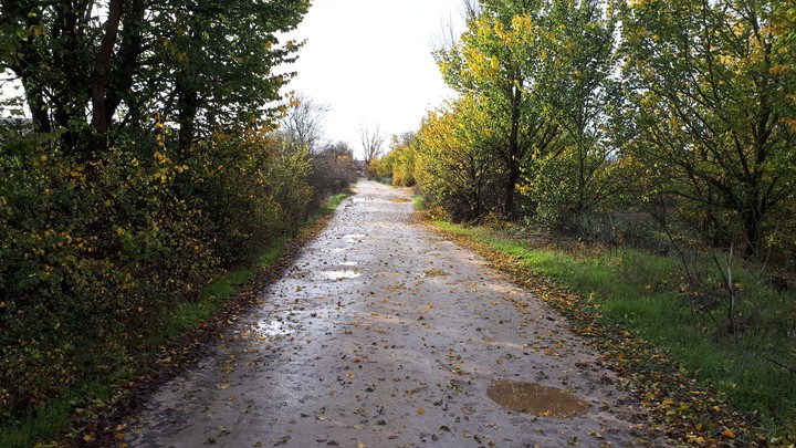 Otoño