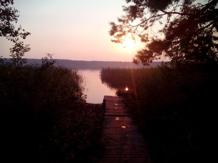 the bank of lake