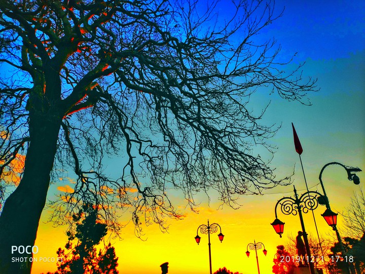 shimla view