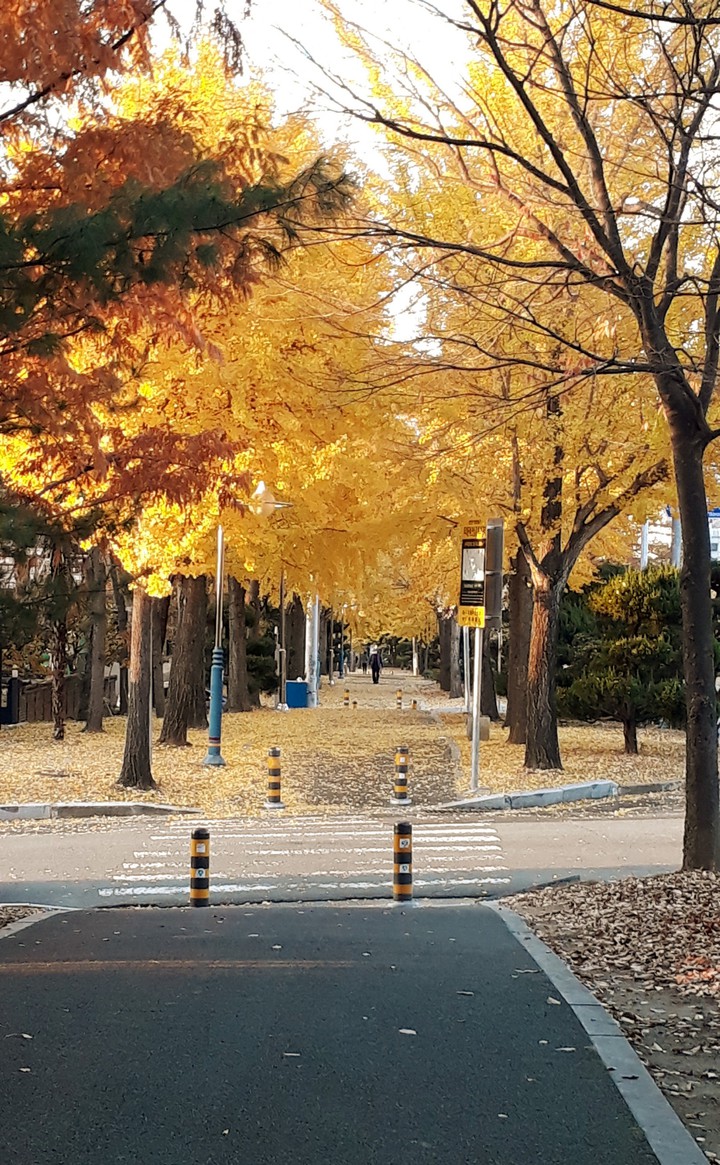 fall street