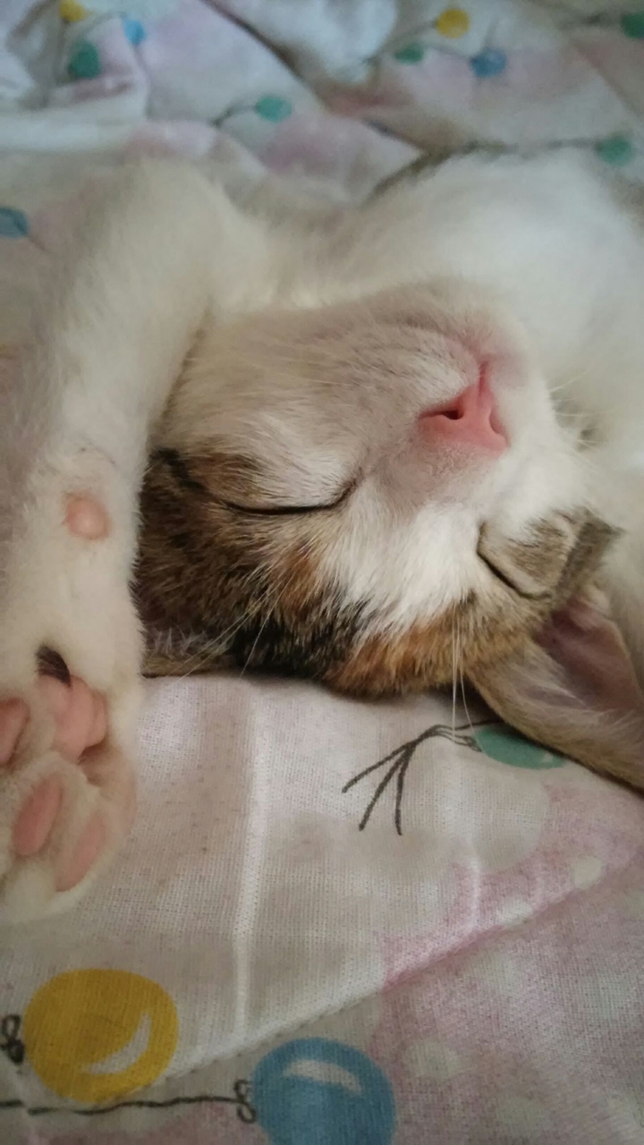 My beauty