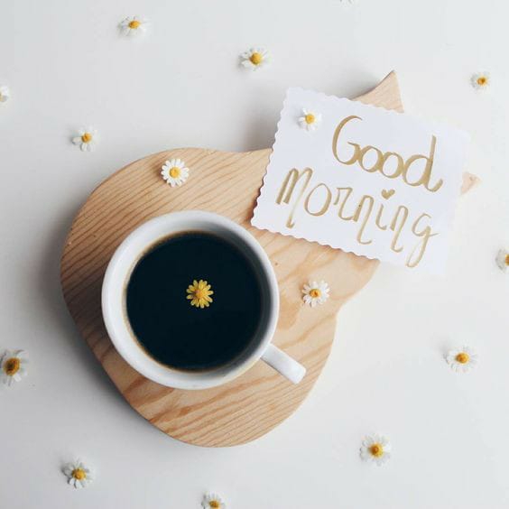 good morning