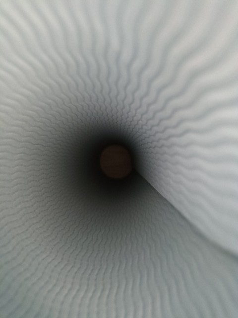 grey, petal Hintergrundbilder