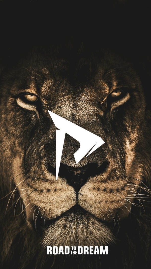 road to the dream / motivation / мотивация