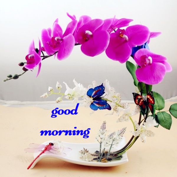 Good Morning