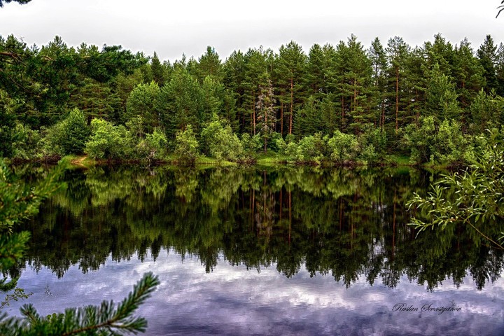 #natura
