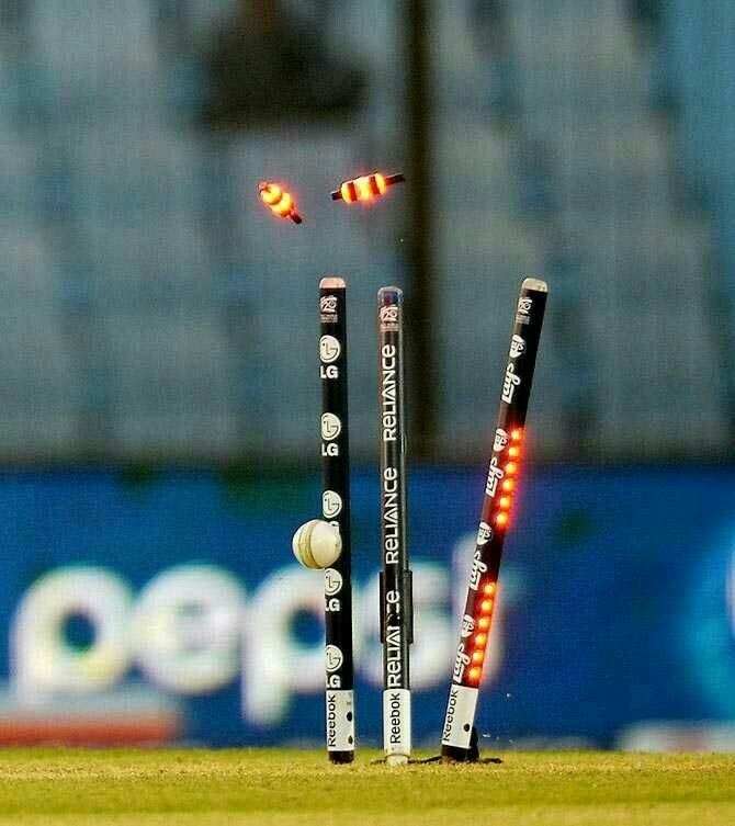 cricket stump