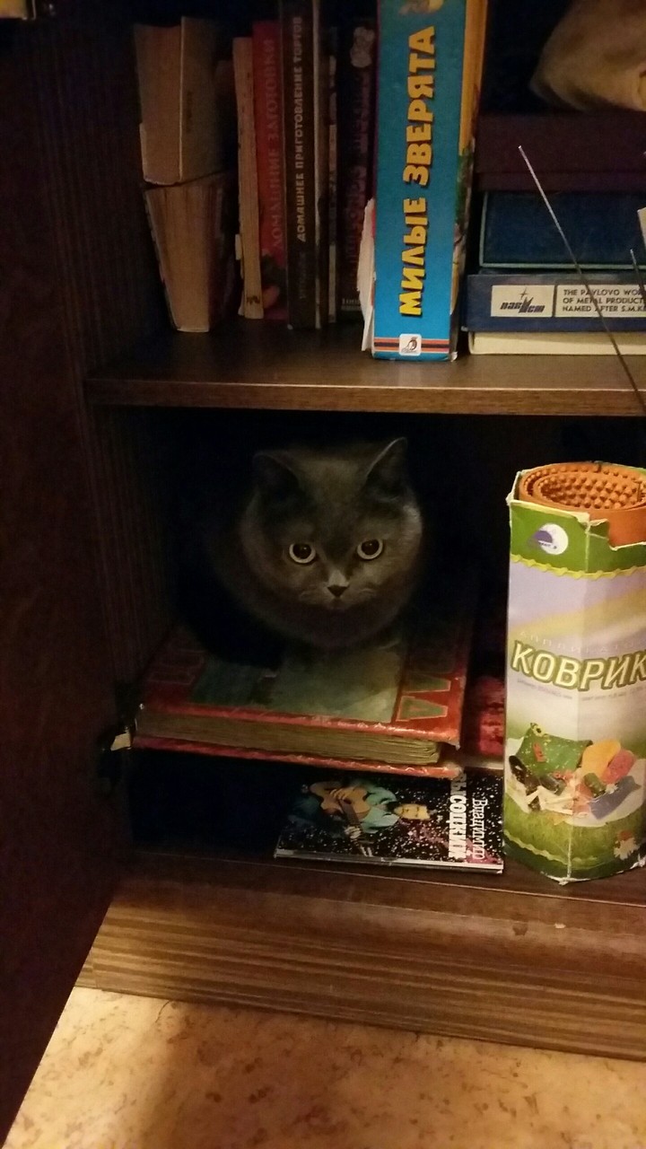 Мусяша