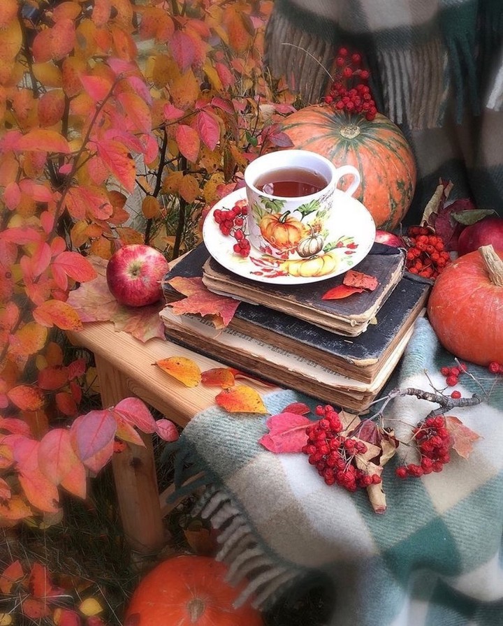 #autumn