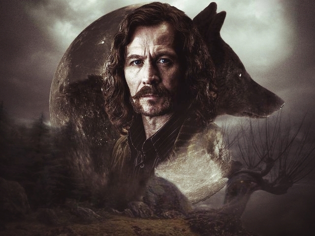 Sirius Black 
