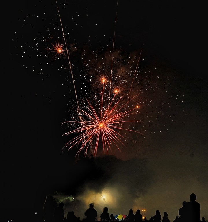 firefly
