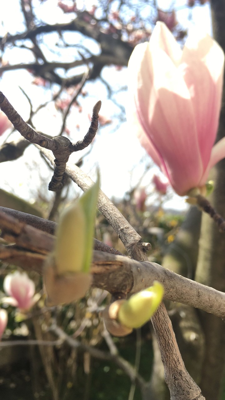 Spring.