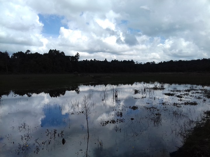lago
